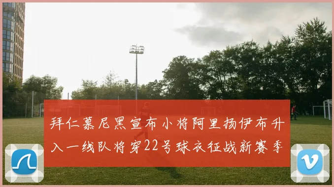 拜仁慕尼黑宣布小将阿里扬伊布升入一线队将穿22号球衣征战新赛季